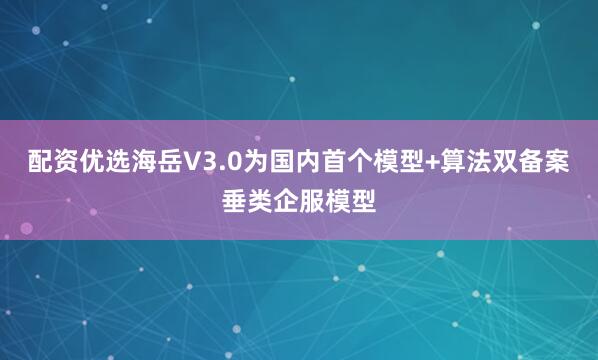 配资优选海岳V3.0为国内首个模型+算法双备案垂类企服模型